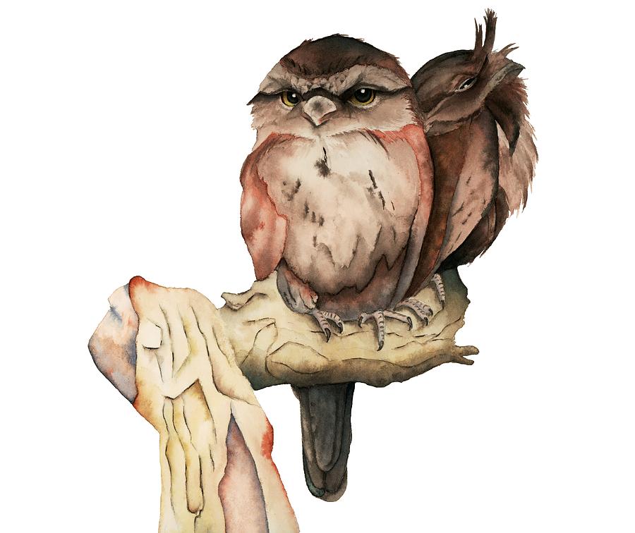 Owl Siblings Watercolor Painting Painting by Chiho Watanabe