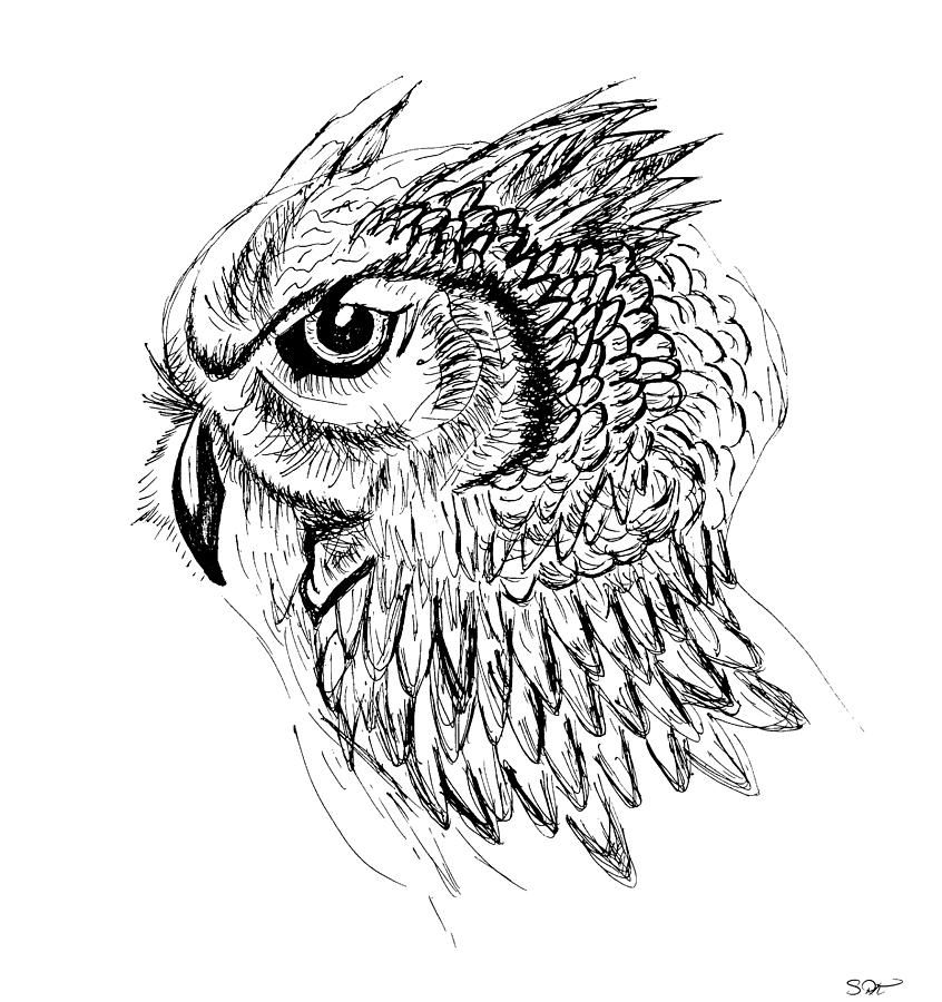 Owl Composition | Realistic Artist