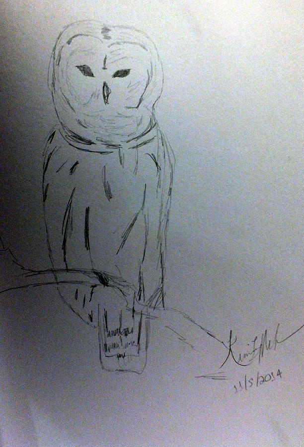 Owl Sketch Drawing by Kimmary MacLean