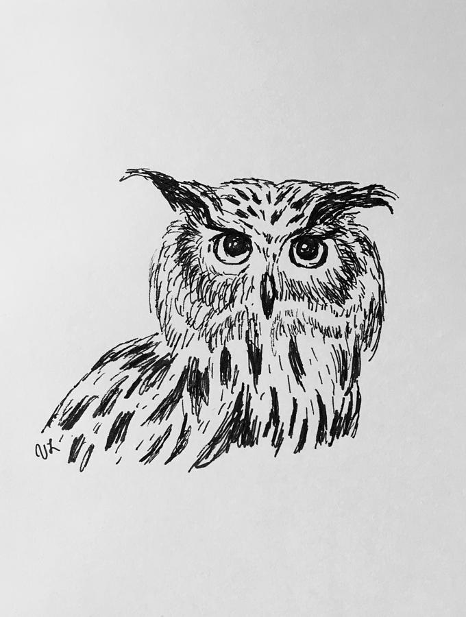 Owl Study 2 Drawing by Victoria Lakes