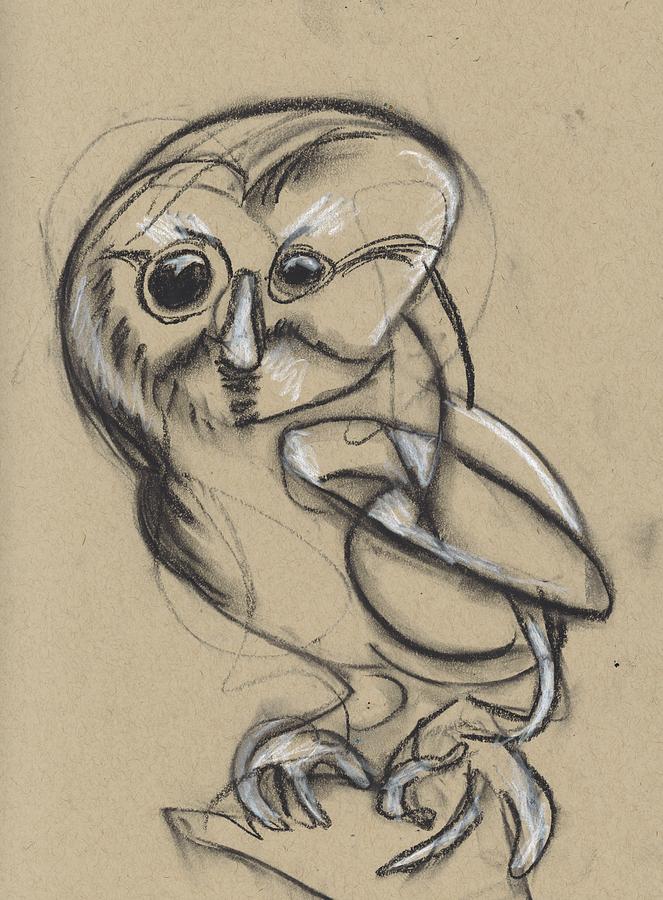 Owl Study #I Drawing by Drew Eurek