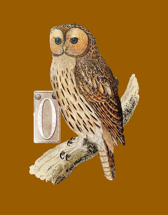 Owl T Shirt Design Digital Art by Bellesouth Studio