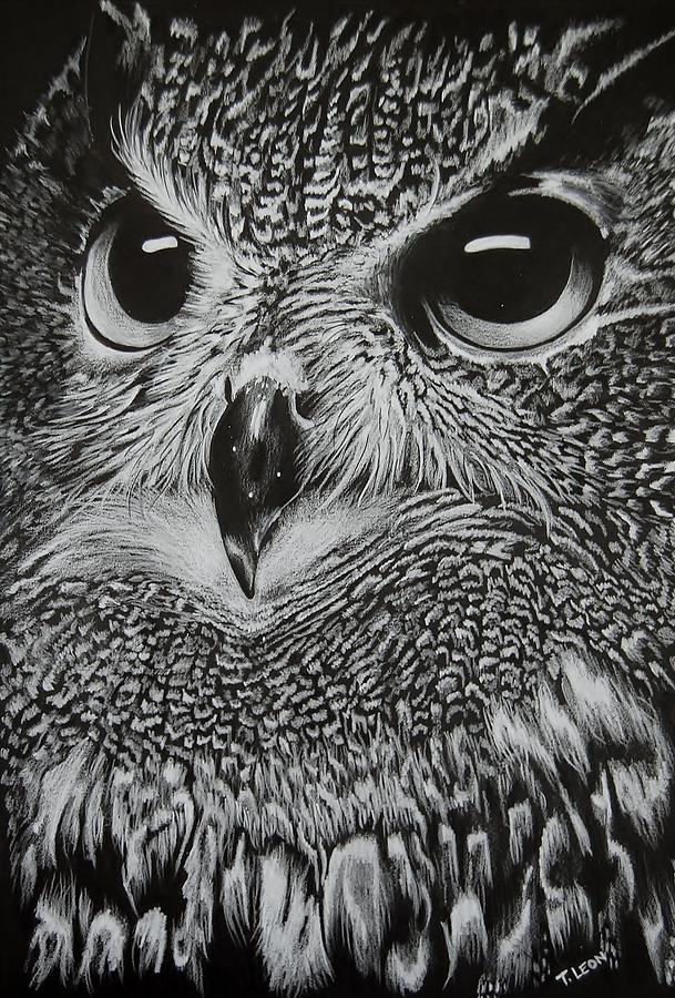 Owl Drawing by Tracy Leon - Fine Art America