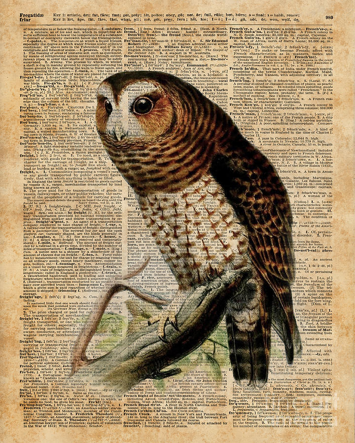 Owl Digital Art - Owl Vintage Illustration Over Old Encyclopedia Page by Anna W