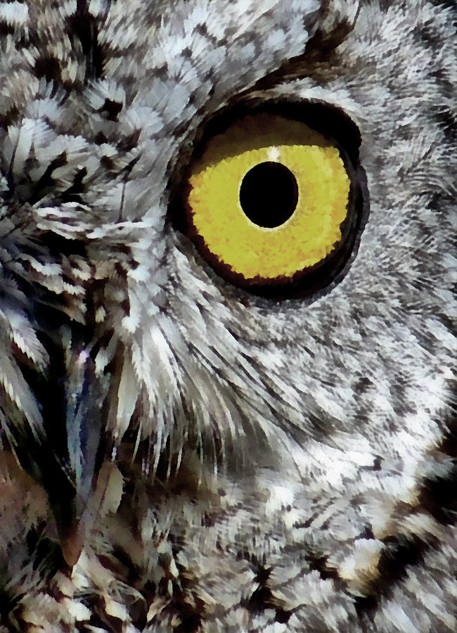 Owl Vision Digital Art by Ernest Echols