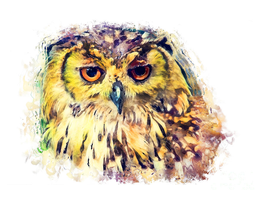Owl watercolor painting Painting by Justyna Jaszke JBJart