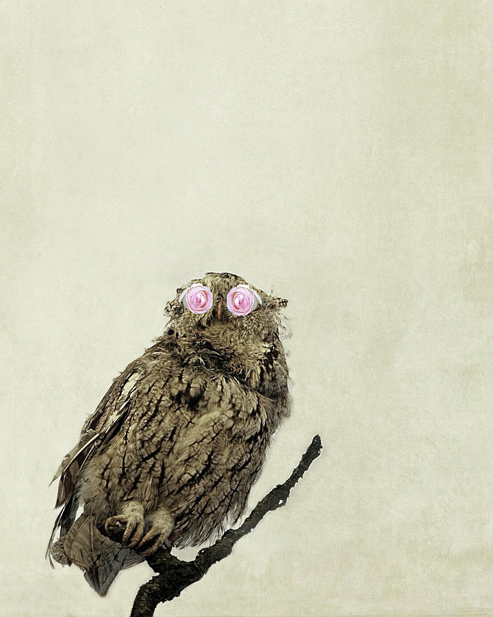 Owl with Pink Rose Eyes on Beige with Vintage Texture Photograph by Brooke T Ryan