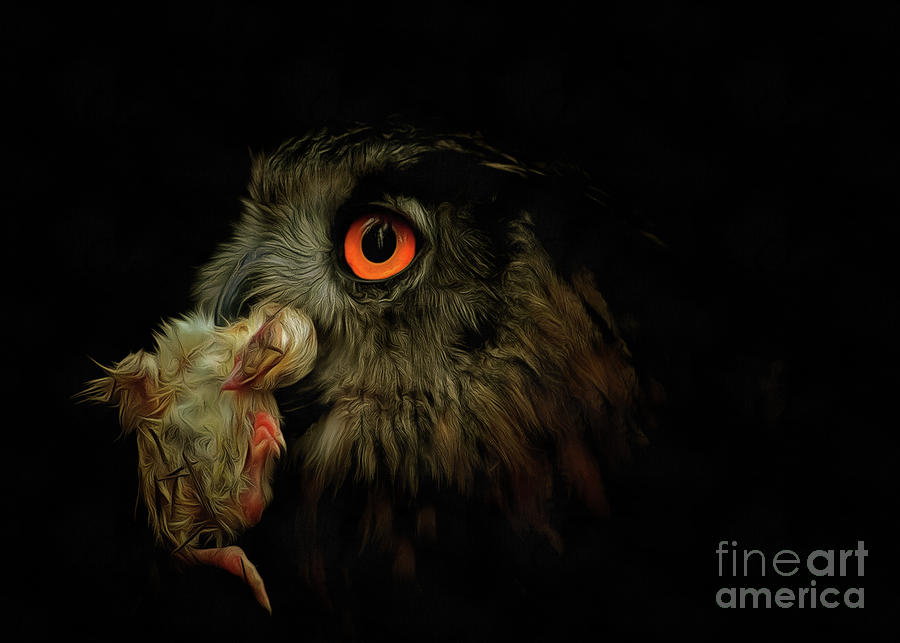 Owl with prey Photograph by Michal Boubin