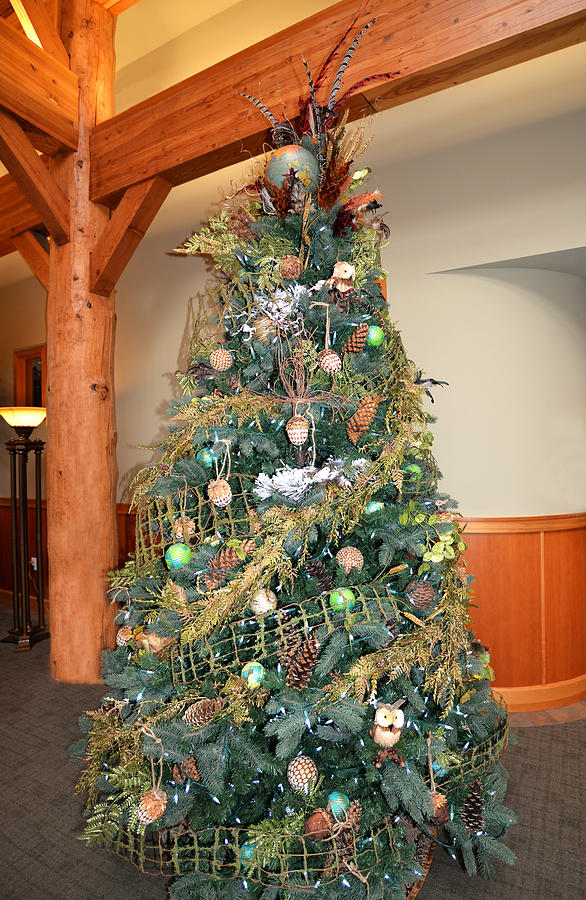 Christmas Photograph - Owl Xmas Tree by Ginny Barklow