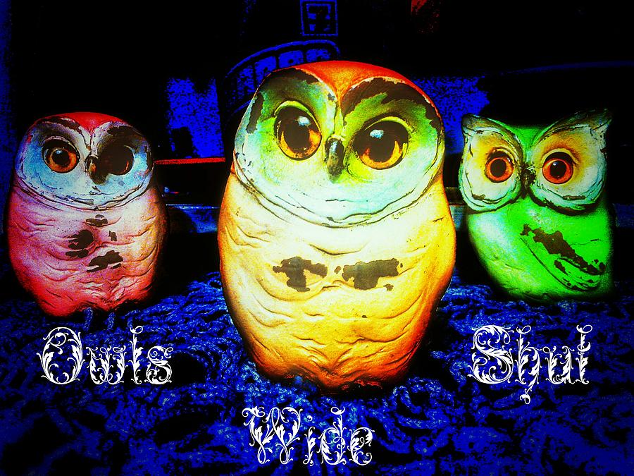 Owls Photograph - Owls Wide Shut by Eddie G Owls Photograph - Owls Wide Shut by Eddie G