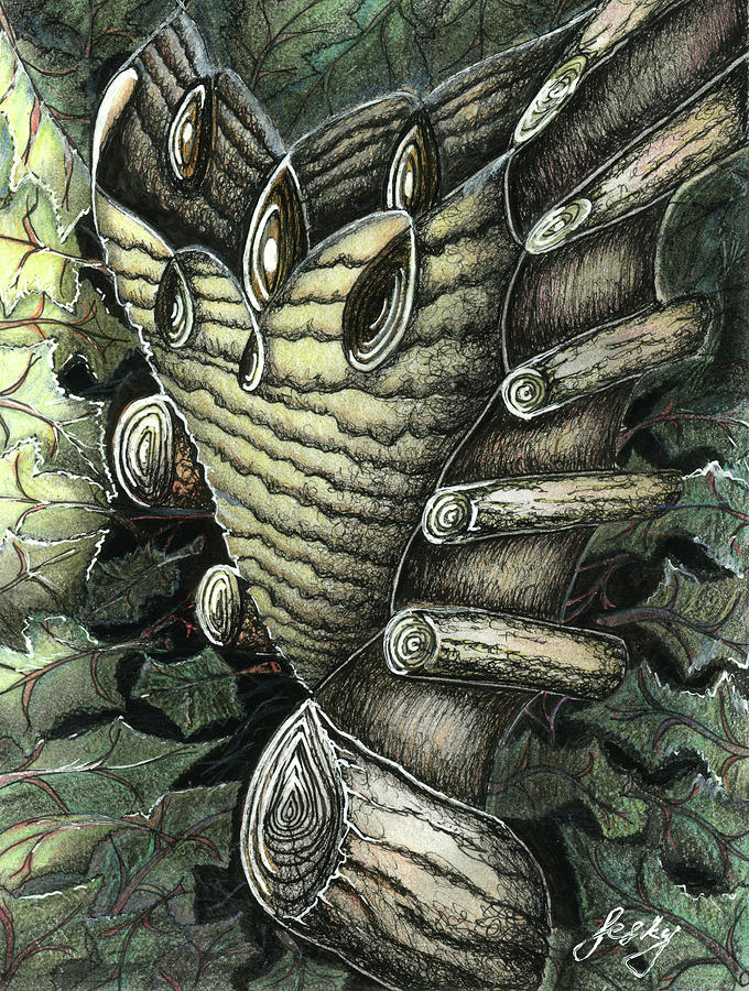 Owltree Drawing by Jelena Evans