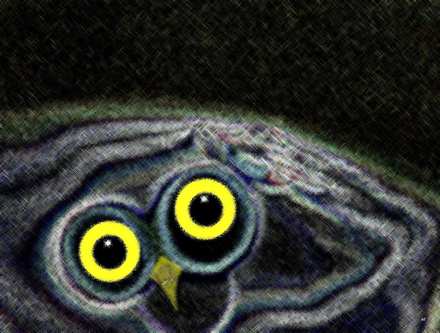 Owly Digital Art by Will Borden