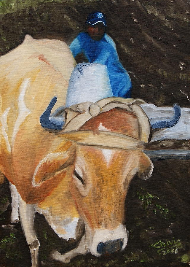 Ox Plowing Painting by Sylvia Riggs - Fine Art America