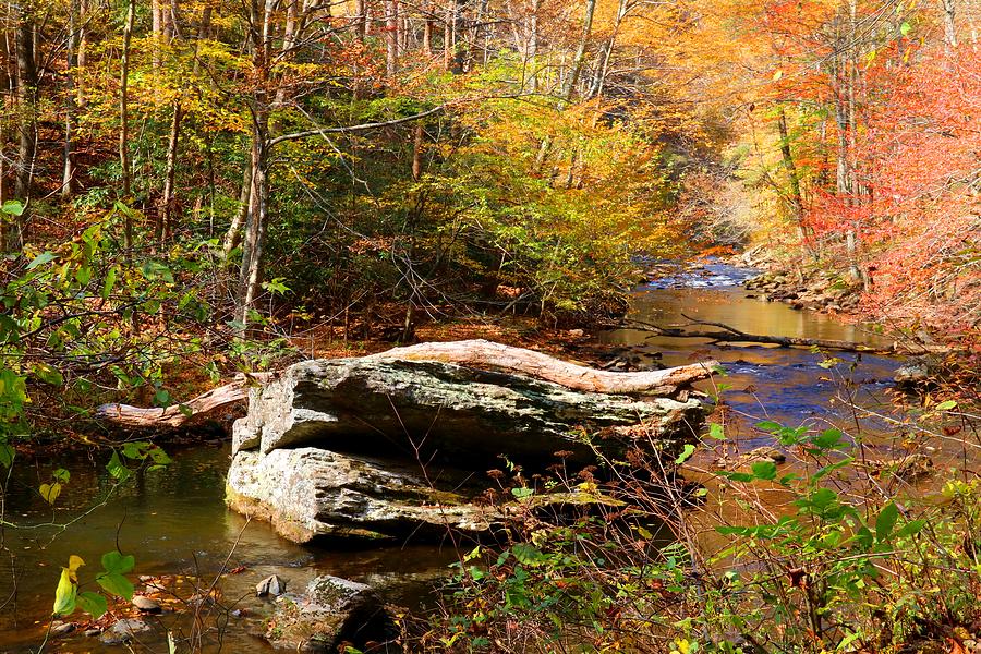 Ox Yoke In Fall Photograph By Kathryn Meyer - Fine Art America