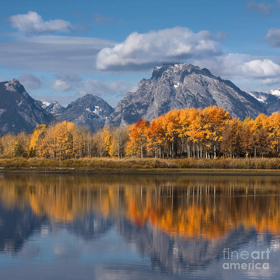 Oxbow Bend With Vibrant Autumn Colour Aspen Trees, Grand Teton National Park, Wyoming Usa Photograph by Philip Preston