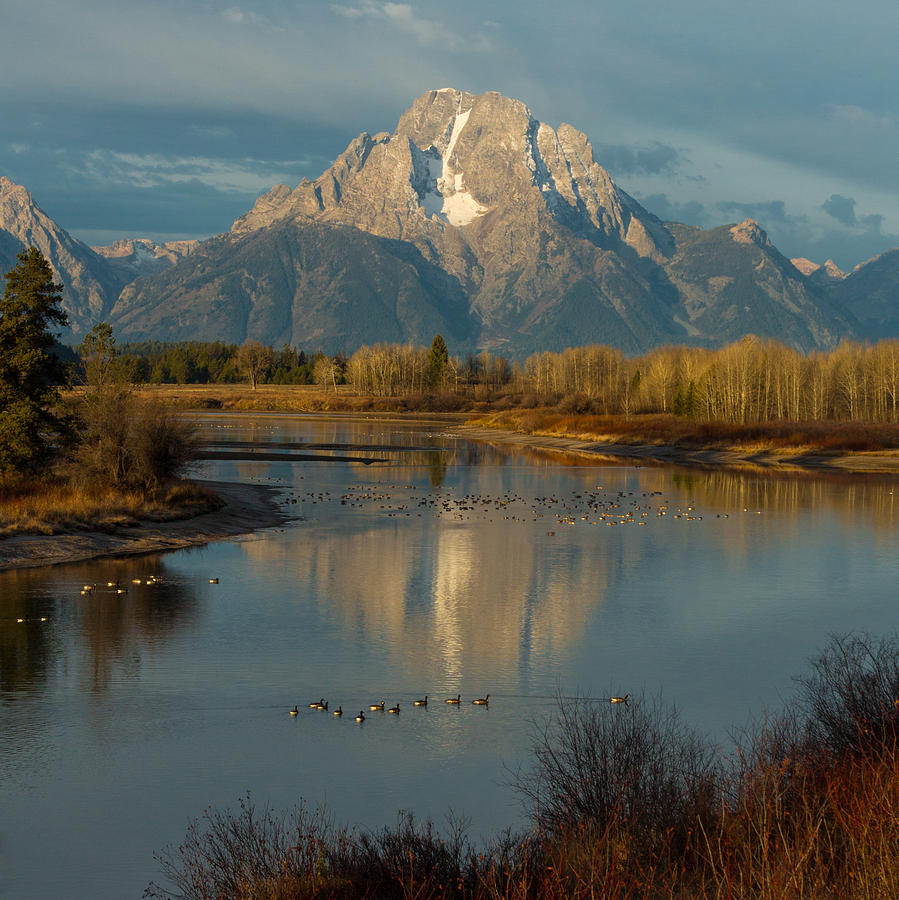 Oxbow Bend Photograph by Brian Governale