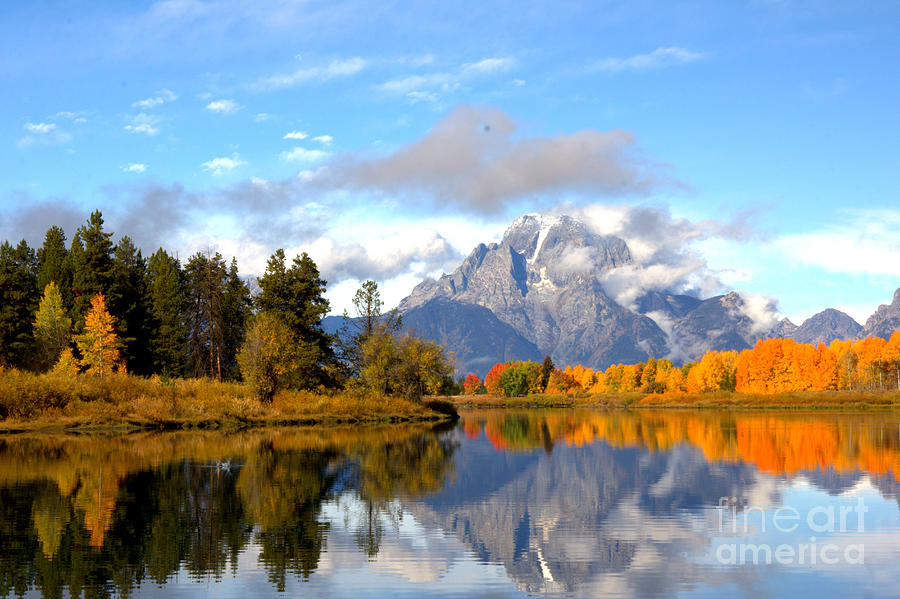 Mt Moran at Oxbow Bend by Cynthia Mask Mt Moran at Oxbow Bend by Cynthia Mask