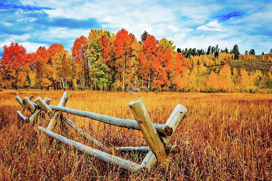 Oxbow Bend Photograph - Oxbow Bend Fall Color by Norman Hall Oxbow Bend Photograph - Oxbow Bend Fall Color by Norman Hall