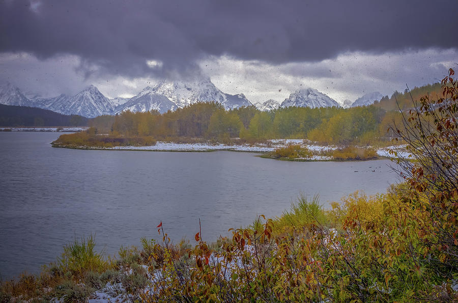 Oxbow Bend Fall Snowfall Photograph by Scott McGuire