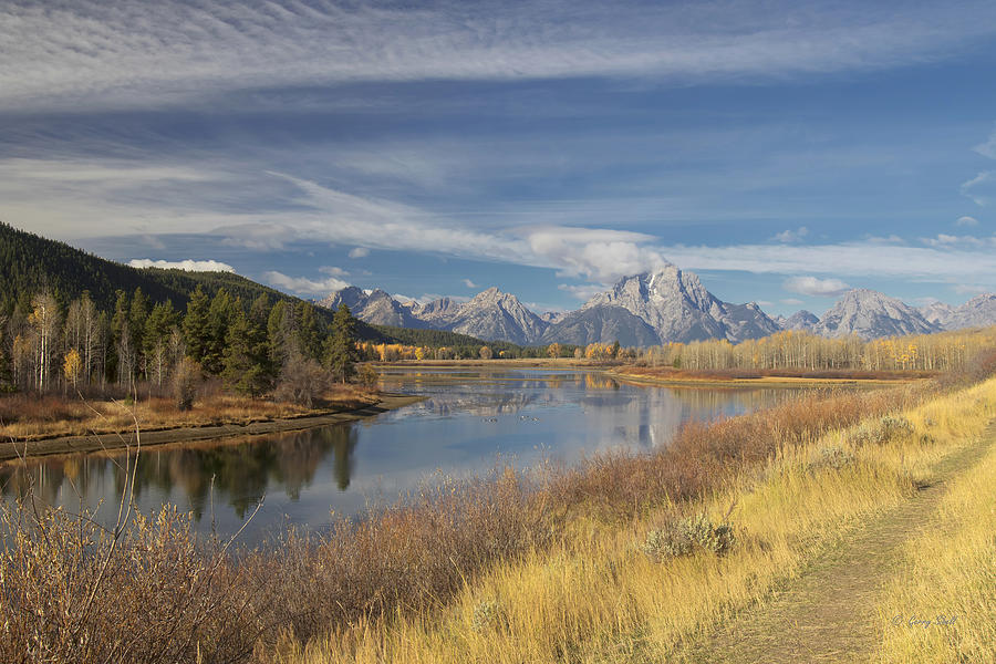 Oxbow Bend Grand Tetons Photograph by Gerry Sibell