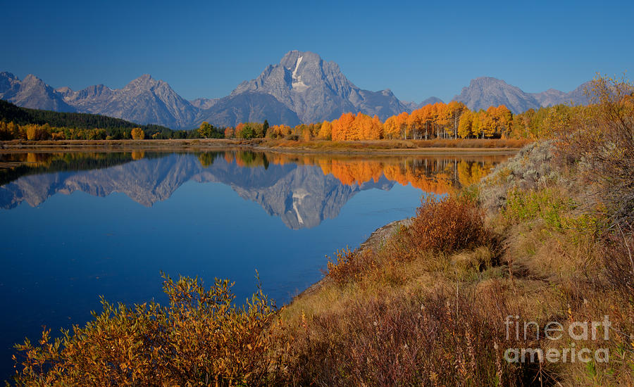 Fall Photograph - Oxbow Bend by Idaho Scenic Images Linda Lantzy