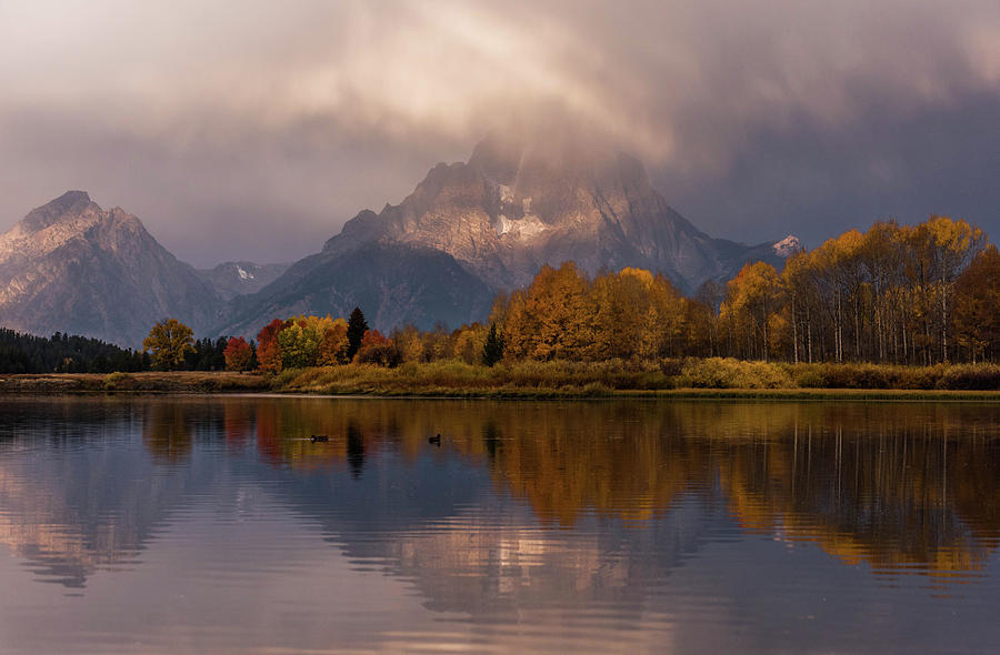 Oxbow Bend Photograph by Jody Partin