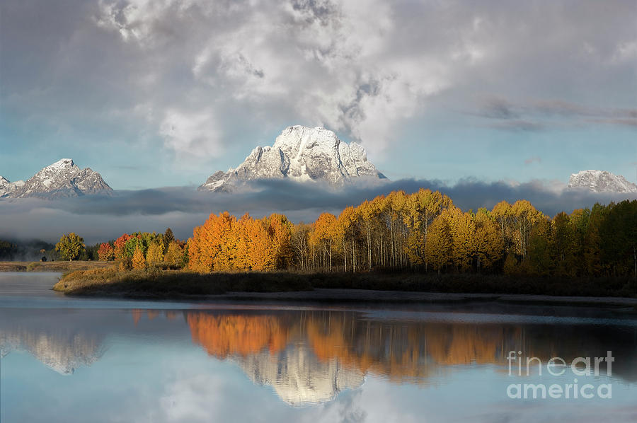 Oxbow Bend Majestic Reflection Photograph by Wildlife Fine Art