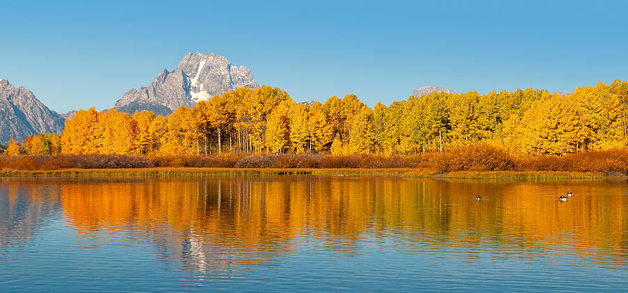 Oxbow Bend Panoramic Photograph by Steve Stuller