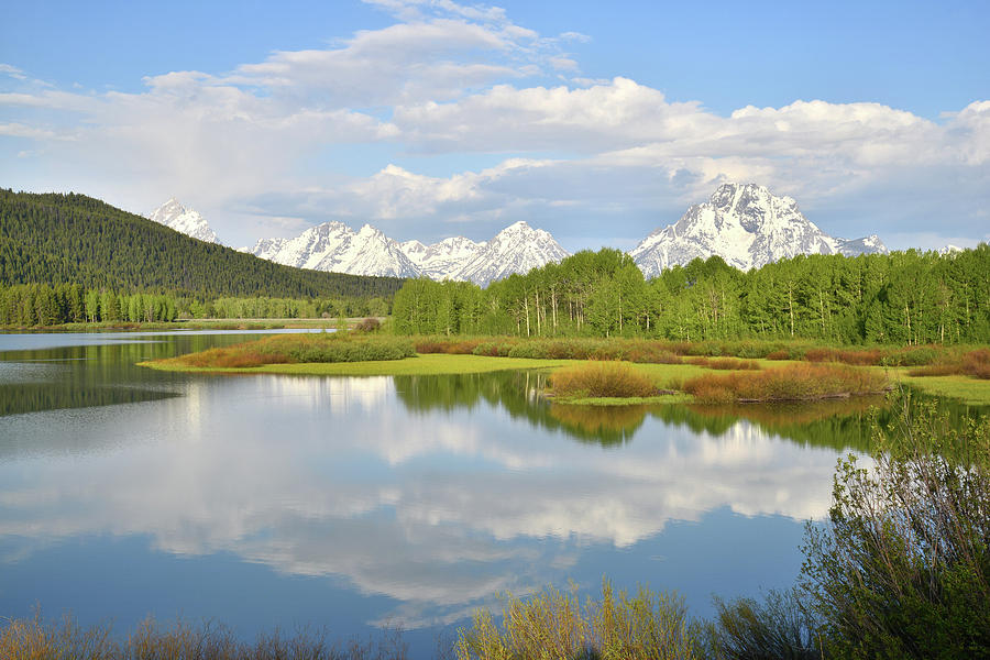 Oxbow Bend Reflection in Grand Teton National Park Photograph by Ray Mathis