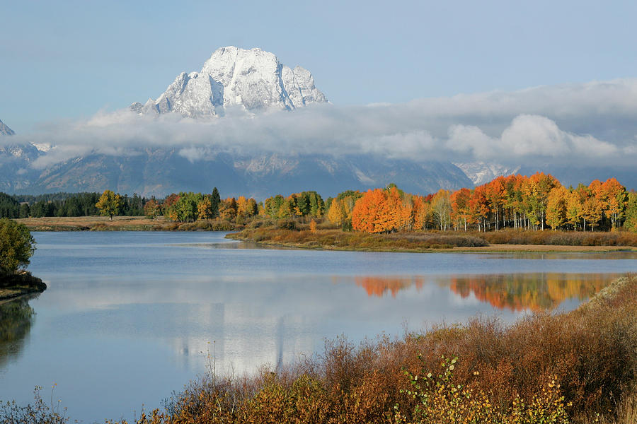 Oxbow Bend  Photograph by Wesley Aston