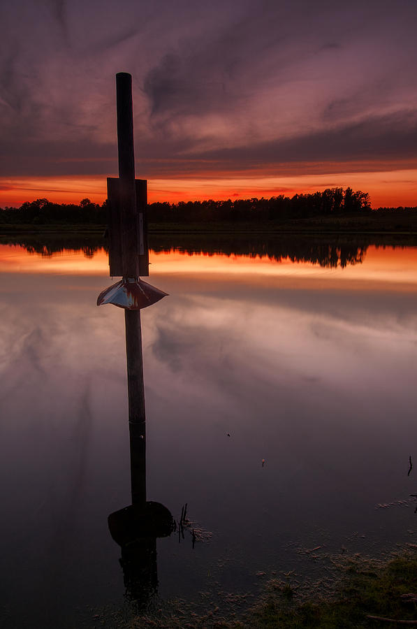 Oxbow Lake 2 Photograph by Derek Thornton