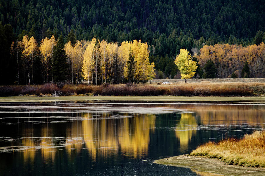 Grand Teton National Park Photograph - Oxbow Reflection by YJ Kostal
