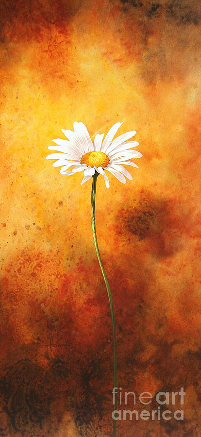 Oxeye Painting by MGL Meiklejohn Graphics Licensing
