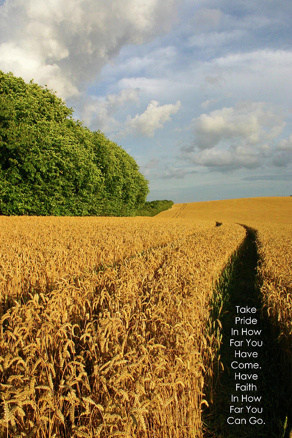 Oxfordshire Wheat Fields Photograph by Lauralee McKay