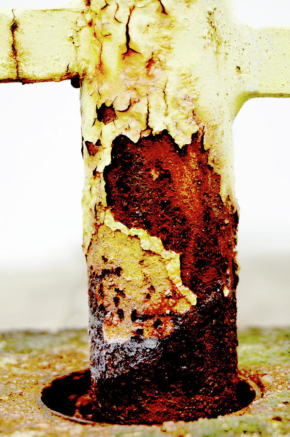 Oxidation #3004 Photograph by Raymond Magnani