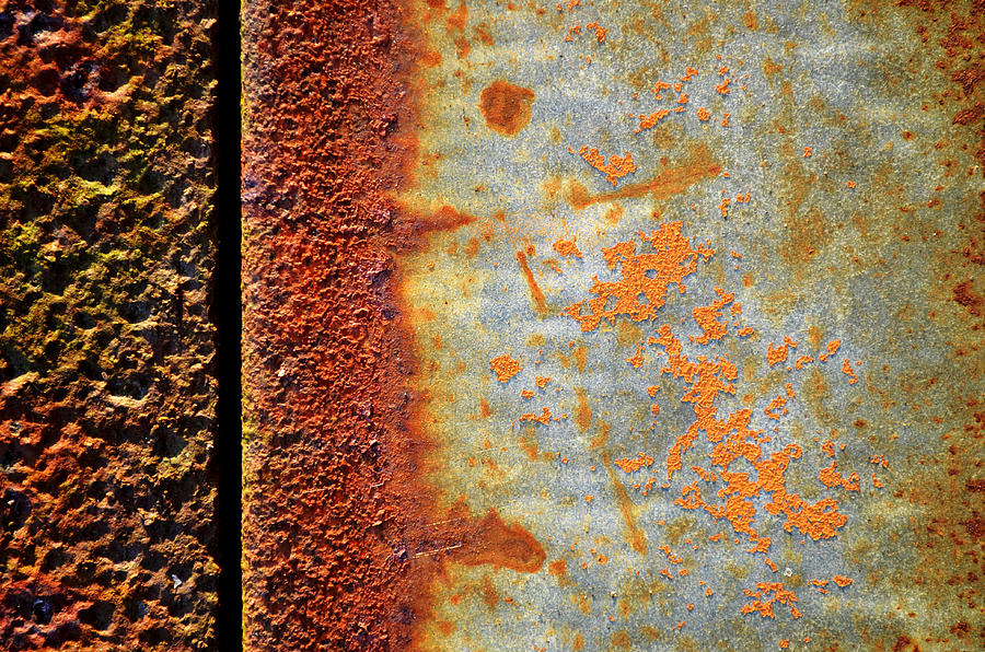 Oxidation Photograph by Tom Druin