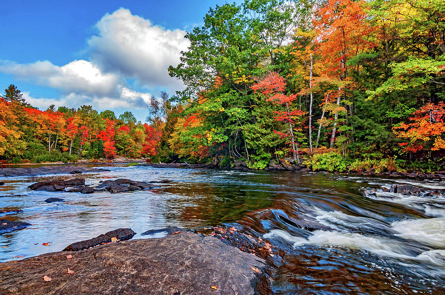 Oxtongue River 6 Photograph by Steve Harrington - Fine Art America