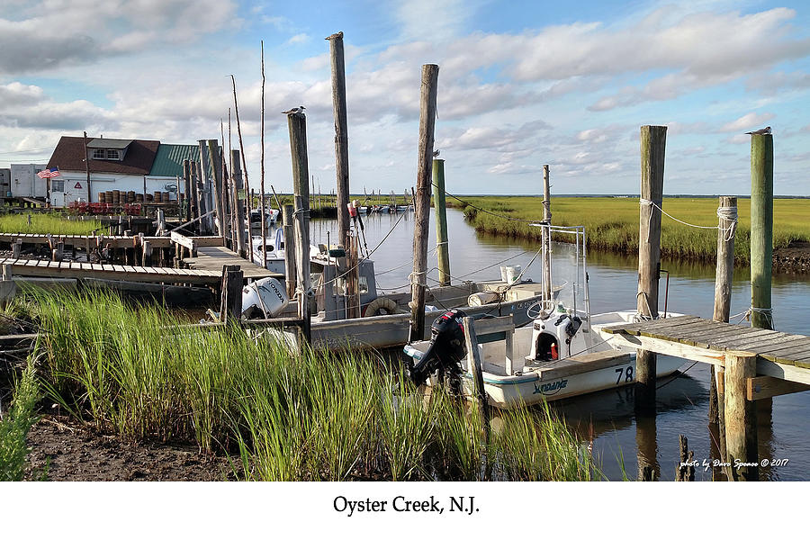Oyster Creek, NJ Photograph by David Speace
