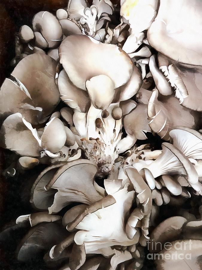 Oyster Mushrooms - Fruit of the forest Photograph by Janine Riley