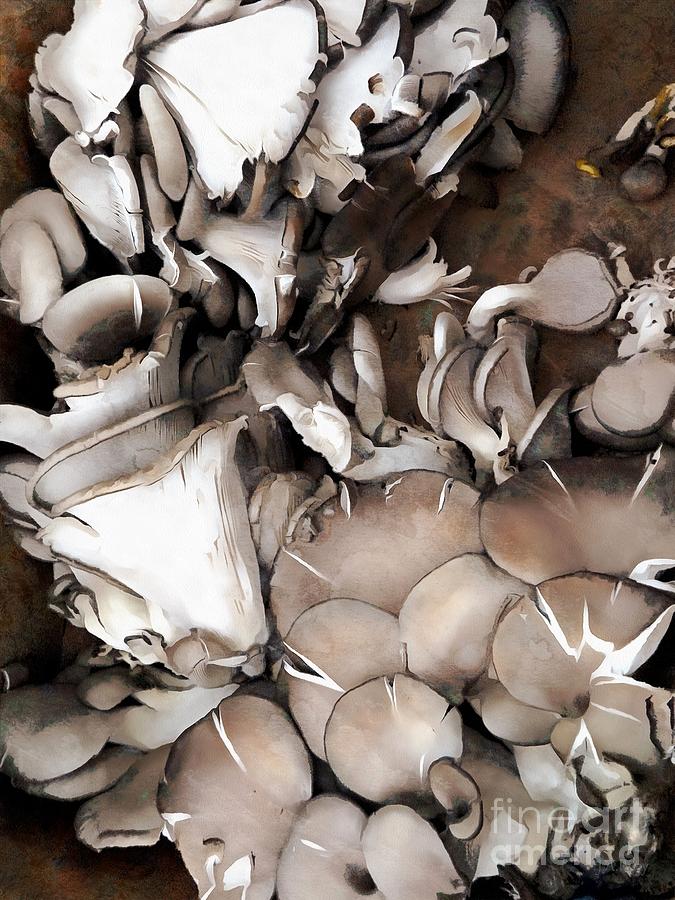 Oyster Mushrooms - Mad as a Hatter Photograph by Janine Riley