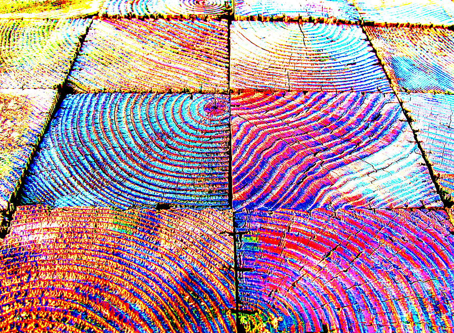 Oyster Point Marina Rainbow Wood Photograph by John King I I I