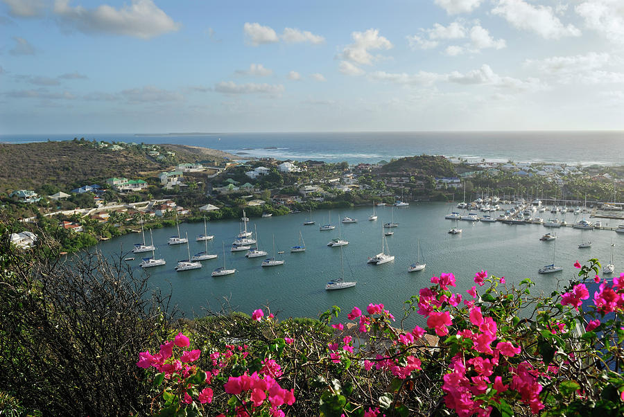 Oyster Pond Marina in St Maarten Photograph by Reimar Gaertner - Fine ...