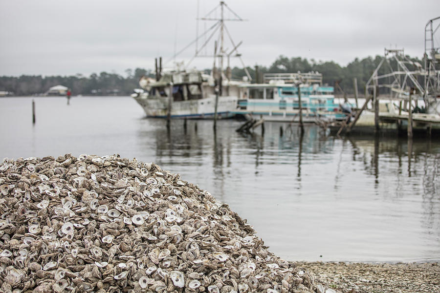 Oyster shells and Boats  Photograph by John McGraw