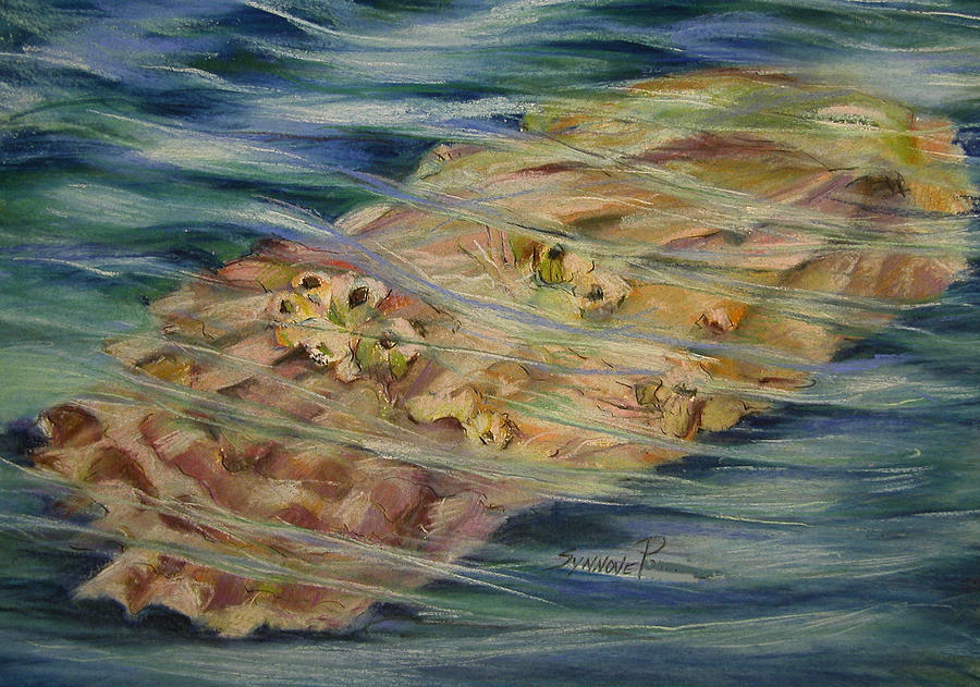 Oyster Painting by Synnove Pettersen