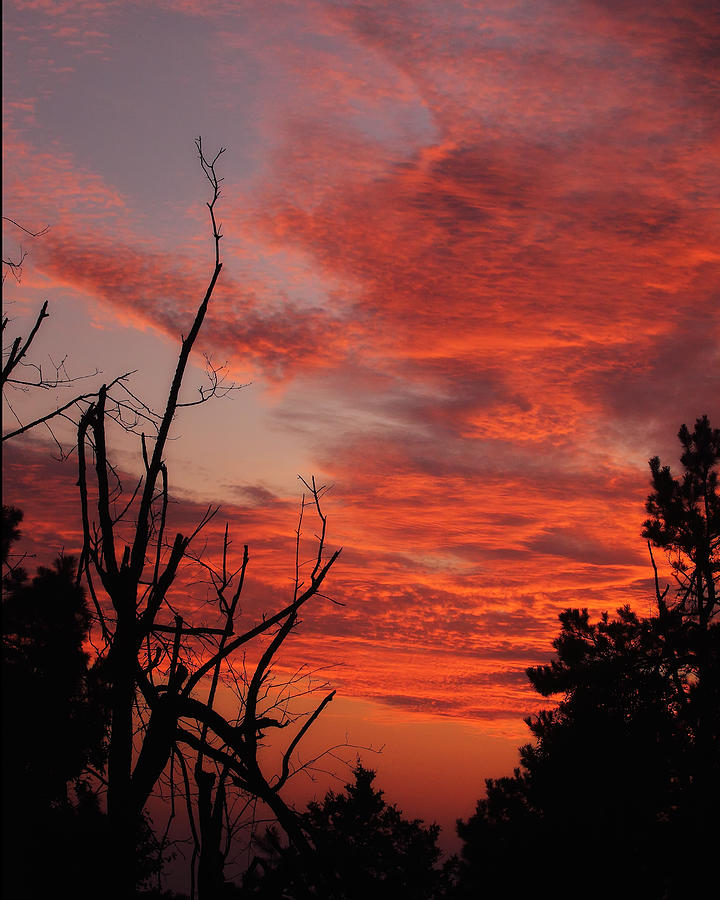 Ozark Dawn Photograph by Michael Dougherty