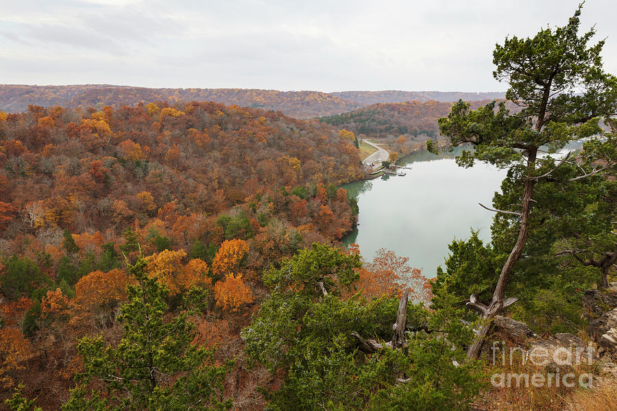 Ozark Fall Color Photograph by Dennis Hedberg