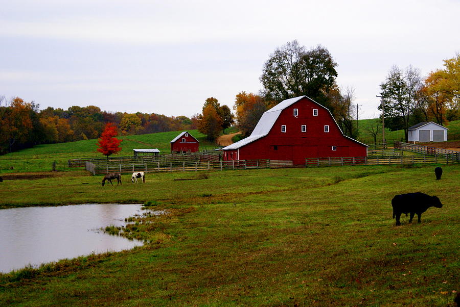 Ozark Farm Photograph