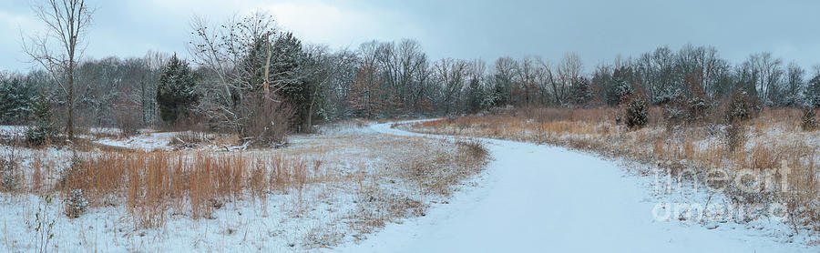 Ozark winter Panorama Photograph by Garry McMichael