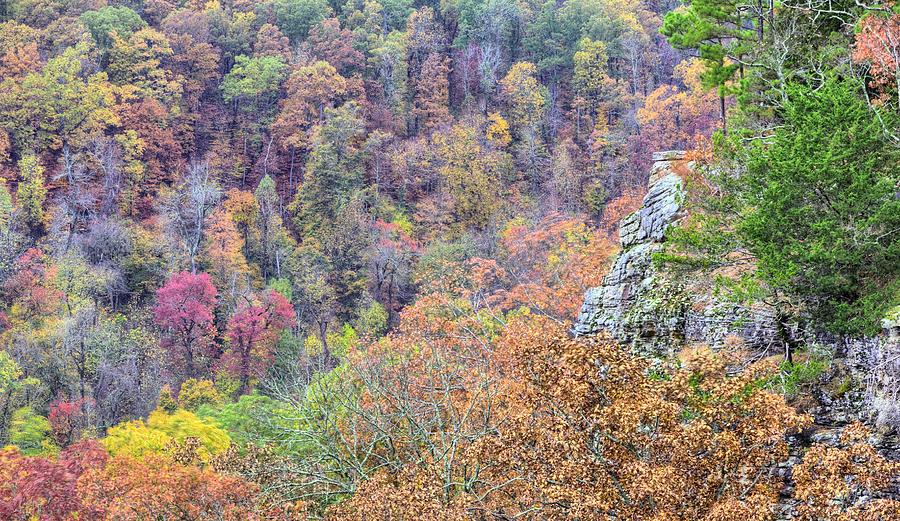 Ozarks Autumn Views Photograph by JC Findley