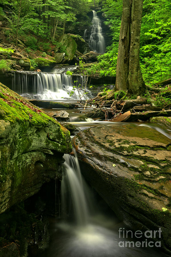 Ozone Falls Through The Forest Photograph by Adam Jewell